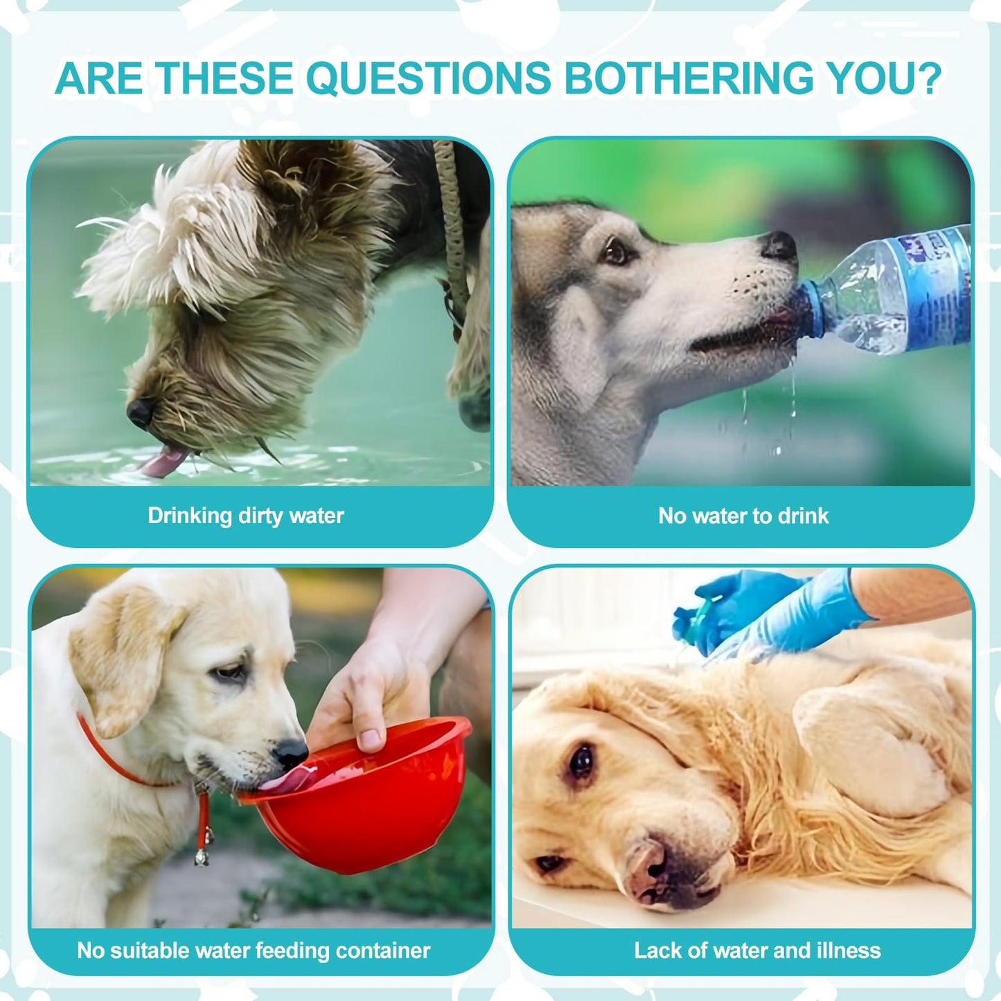 🐶💧 Botella de Agua para Perros | Antifugas, Portátil y Segura para Mascotas 🦴🚶‍♂️